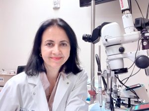 svs44 Sonia Villapol, Ph.D.