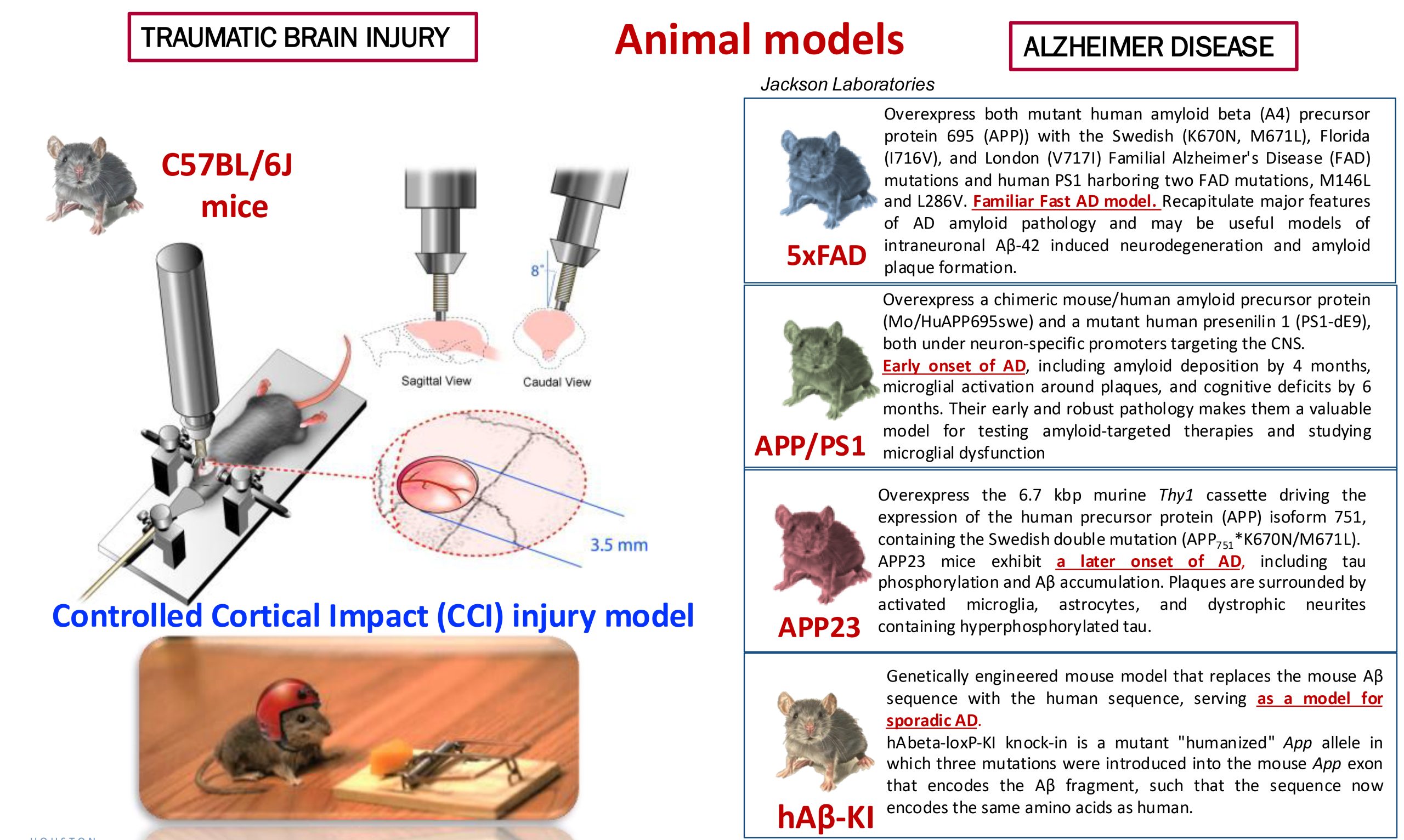 Pages from mouse models