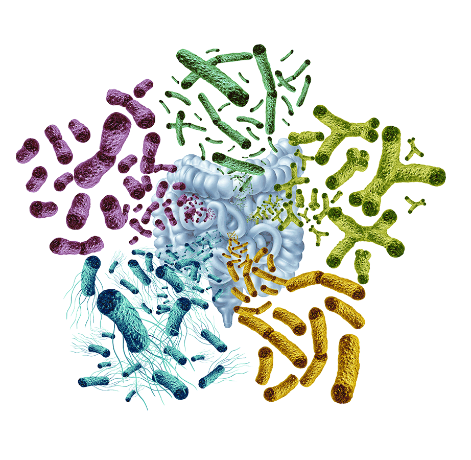 dM_Gut_Microbiome_Animated_Header_